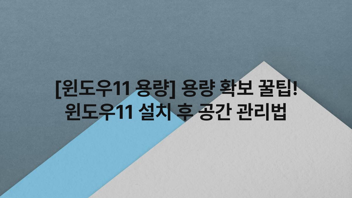 [윈도우11 용량] 용량 확보 꿀팁! 윈도우11 설치 후 공간 관리법