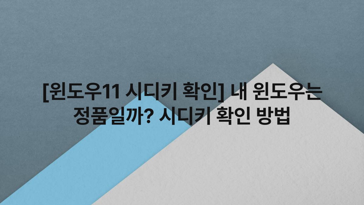 [윈도우11 시디키 확인] 내 윈도우는 정품일까? 시디키 확인 방법