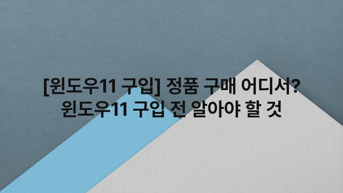 [윈도우11 구입] 정품 구매 어디서? 윈도우11 구입 전 알아야 할 것