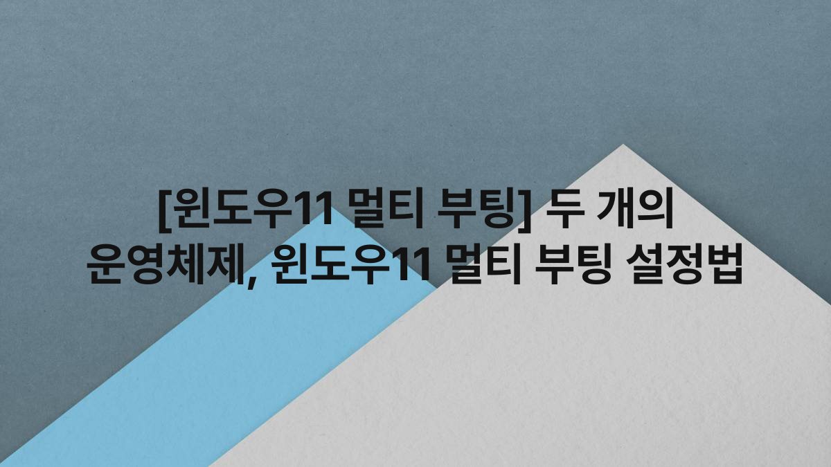[윈도우11 멀티 부팅] 두 개의 운영체제, 윈도우11 멀티 부팅 설정법
