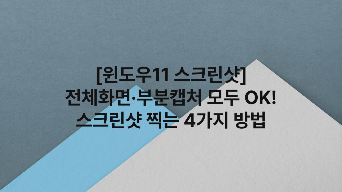 [윈도우11 스크린샷] 전체화면·부분캡처 모두 OK! 스크린샷 찍는 4가지 방법