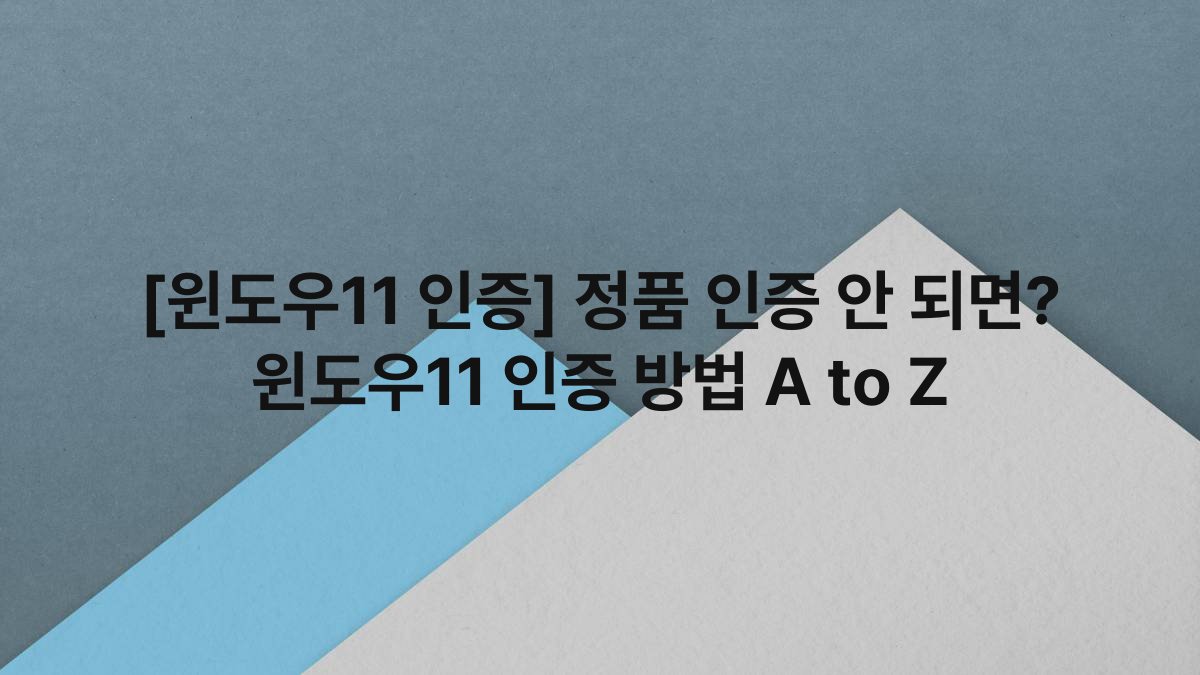 [윈도우11 인증] 정품 인증 안 되면? 윈도우11 인증 방법 A to Z