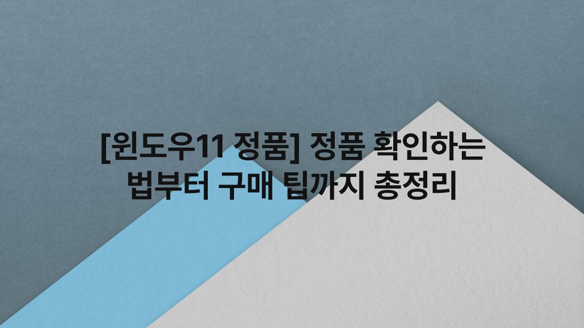 [윈도우11 정품] 정품 확인하는 법부터 구매 팁까지 총정리