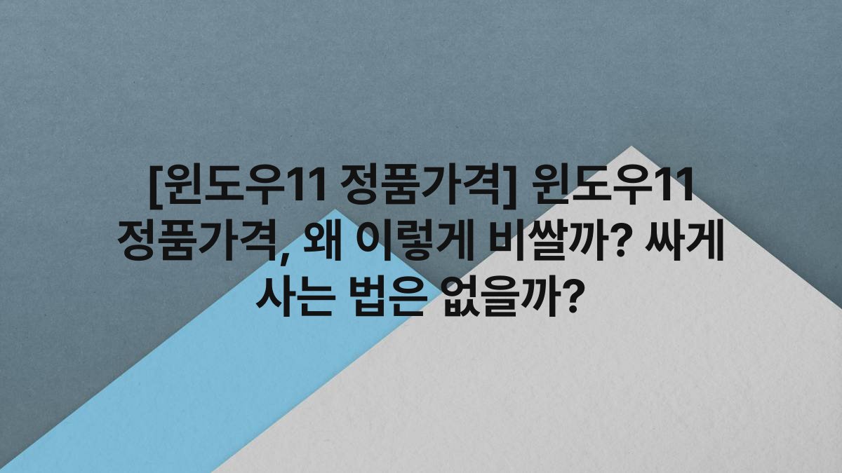 [윈도우11 정품가격] 윈도우11 정품가격, 왜 이렇게 비쌀까? 싸게 사는 법은 없을까?
