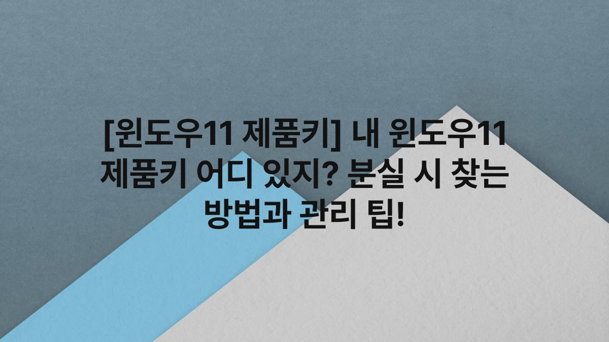 [윈도우11 제품키] 내 윈도우11 제품키 어디 있지? 분실 시 찾는 방법과 관리 팁!