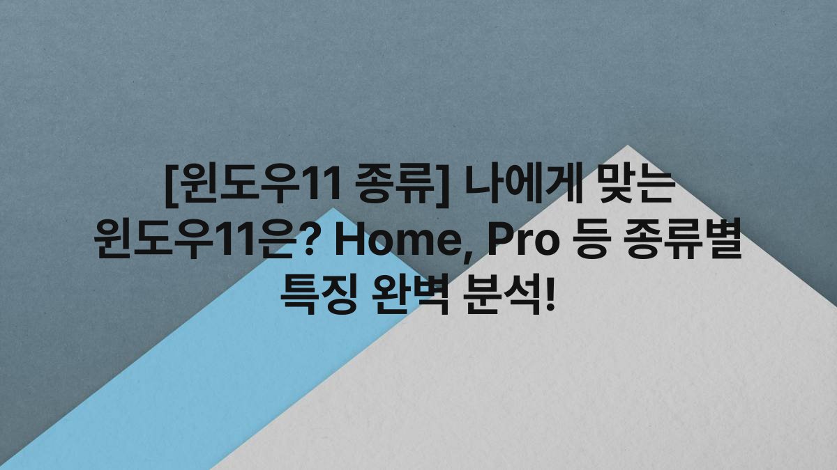 [윈도우11 종류] 나에게 맞는 윈도우11은? Home, Pro 등 종류별 특징 완벽 분석!