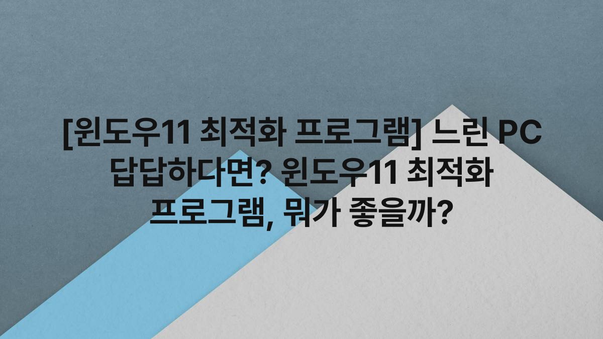 [윈도우11 최적화 프로그램] 느린 PC 답답하다면? 윈도우11 최적화 프로그램, 뭐가 좋을까?