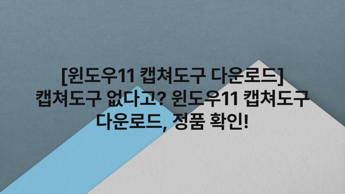[윈도우11 캡쳐도구 다운로드] 캡쳐도구 없다고? 윈도우11 캡쳐도구 다운로드, 정품 확인!