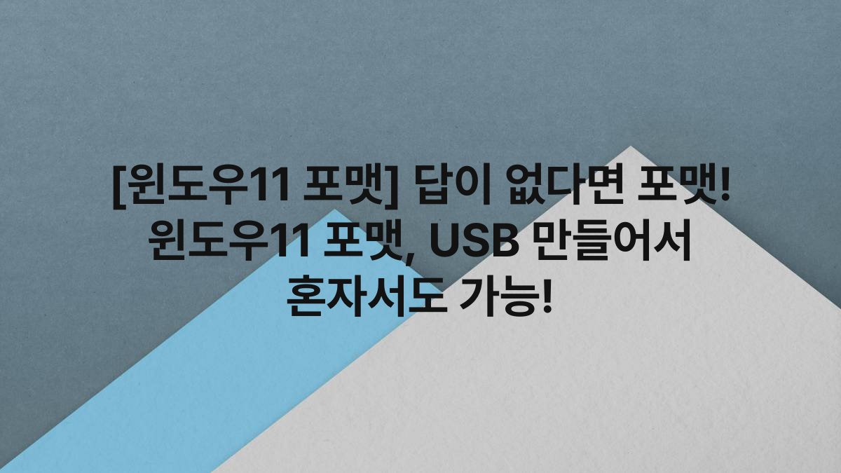 [윈도우11 포맷] 답이 없다면 포맷! 윈도우11 포맷, USB 만들어서 혼자서도 가능!