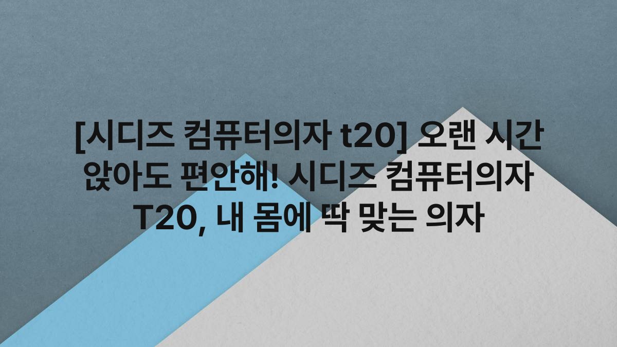 [시디즈 컴퓨터의자 t20] 오랜 시간 앉아도 편안해! 시디즈 컴퓨터의자 T20, 내 몸에 딱 맞는 의자