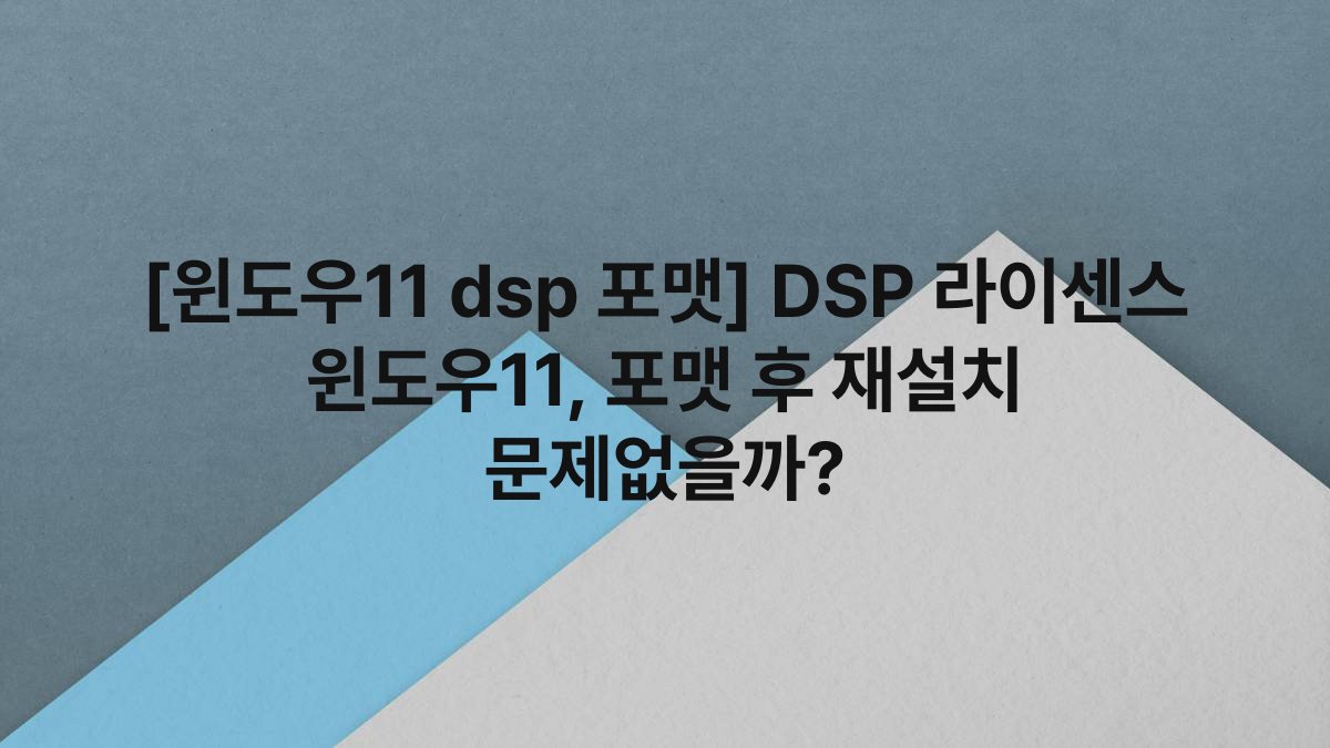 [윈도우11 dsp 포맷] DSP 라이센스 윈도우11, 포맷 후 재설치 문제없을까?