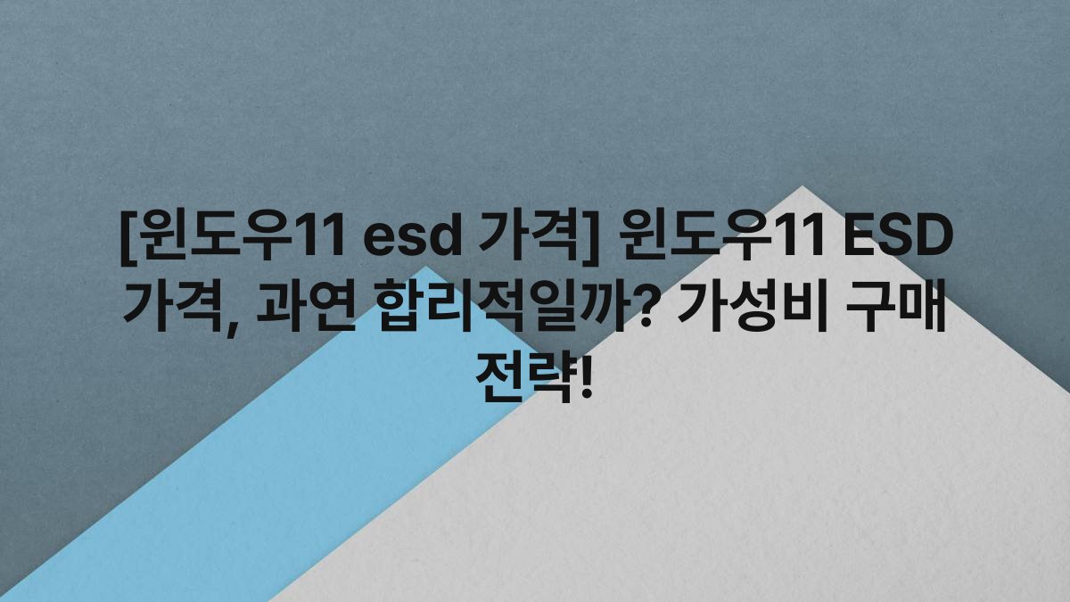 [윈도우11 esd 가격] 윈도우11 ESD 가격, 과연 합리적일까? 가성비 구매 전략!