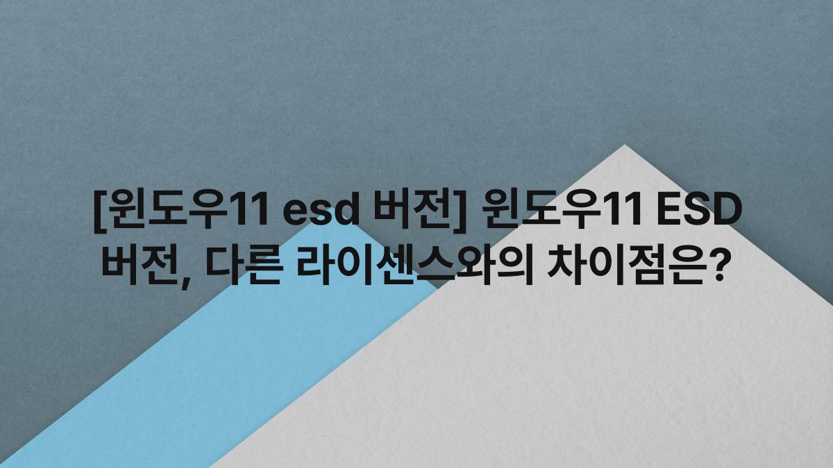 [윈도우11 esd 버전] 윈도우11 ESD 버전, 다른 라이센스와의 차이점은?
