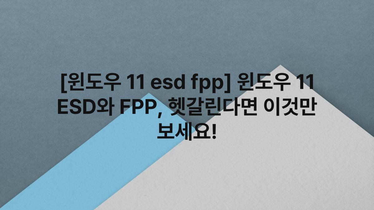 [윈도우 11 esd fpp] 윈도우 11 ESD와 FPP, 헷갈린다면 이것만 보세요!