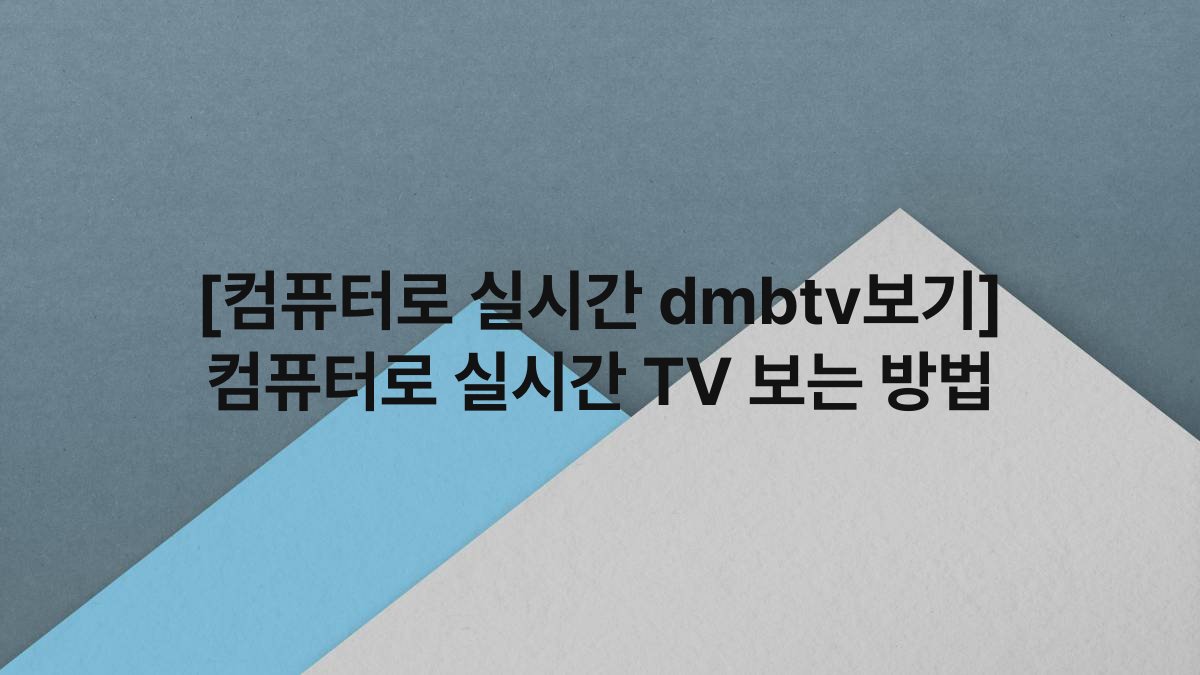 [컴퓨터로 실시간 dmbtv보기] 컴퓨터로 실시간 TV 보는 방법