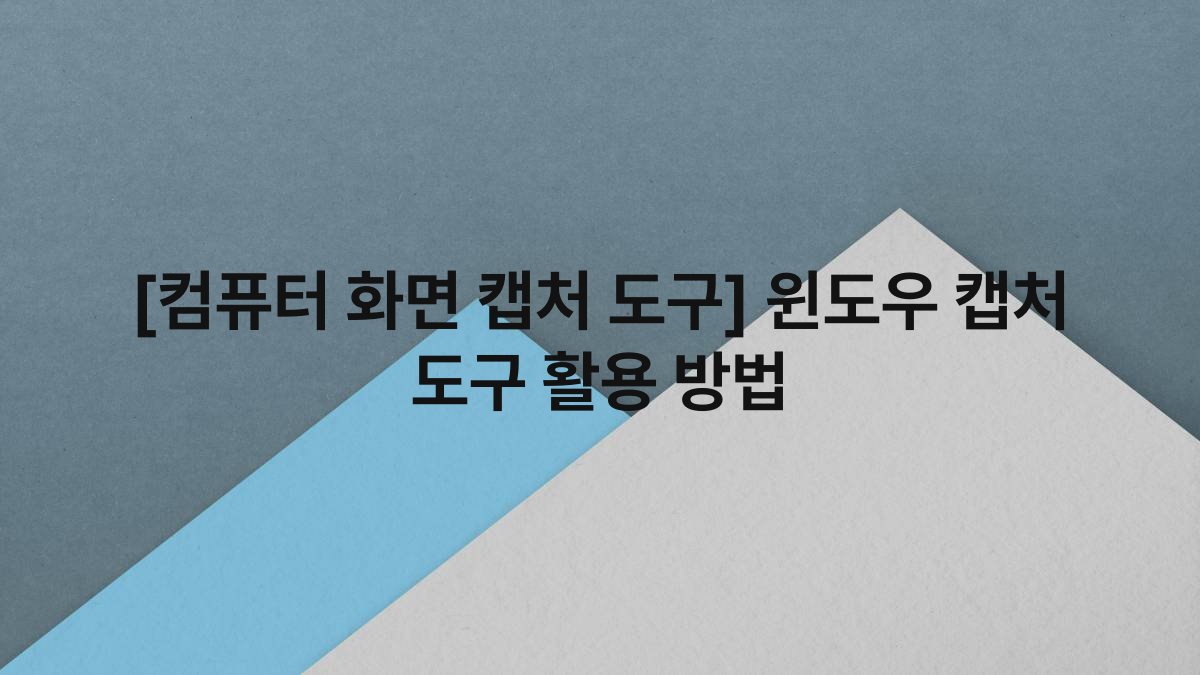 [컴퓨터 화면 캡처 도구] 윈도우 캡처 도구 활용 방법